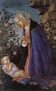 Our Lady of the Son and the sleeping Botticelli